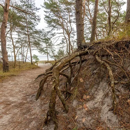 Fewo Prora - Seestern *